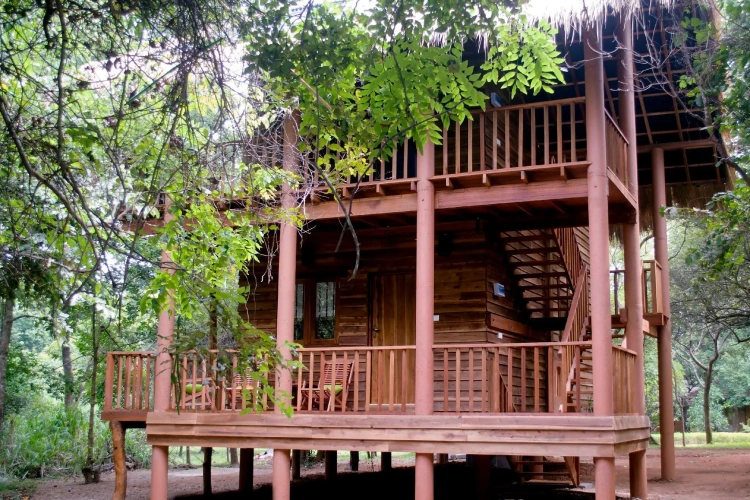 Cottage