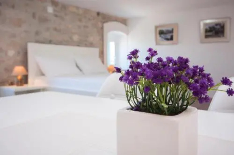 Apartments Dalmata