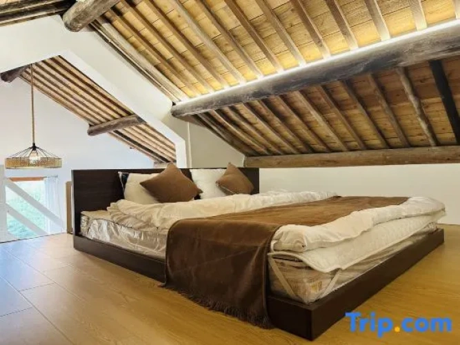 Double Apartment