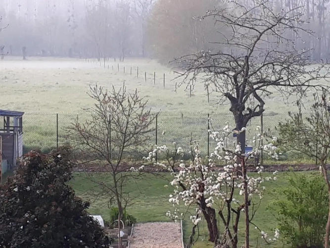 Standard Double room with garden view