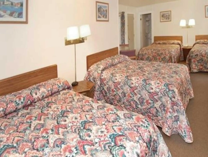 Standard Family room