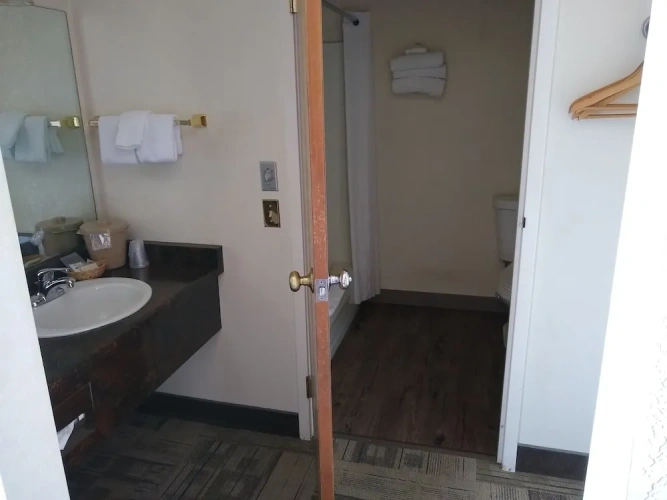 1 Bedroom Standard Double Studio