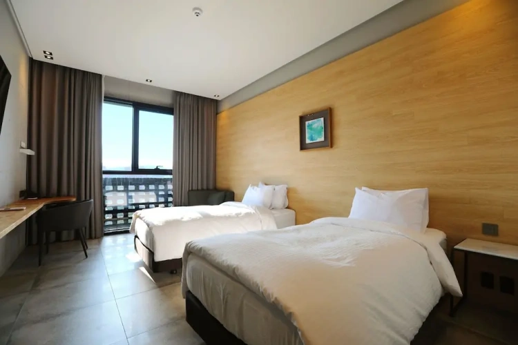 Superior Twin room with city view