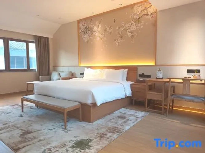 1 Bedroom Suite