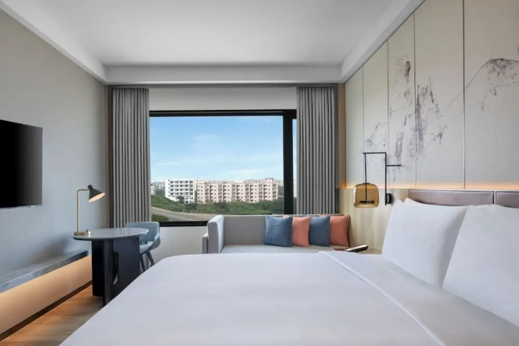 Deluxe Double Suite with city view