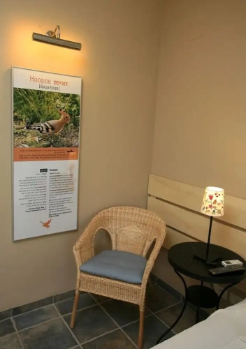 Standard Family Basement room