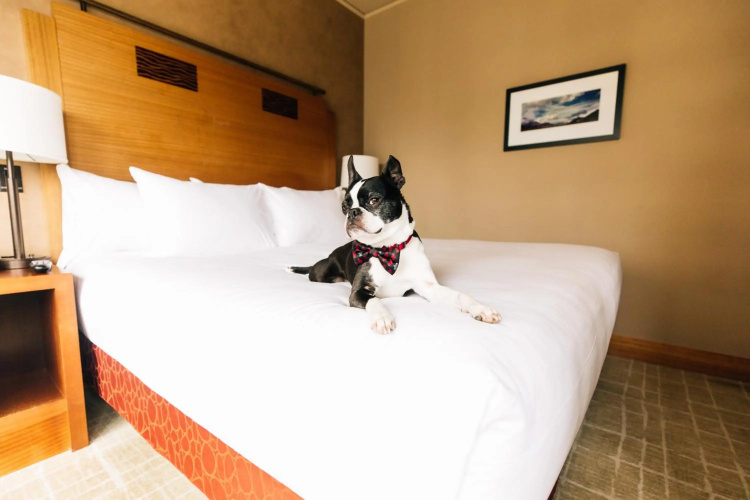 Grand Hyatt Seattle