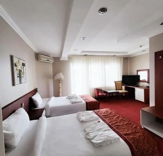 Standard Twin room with city view