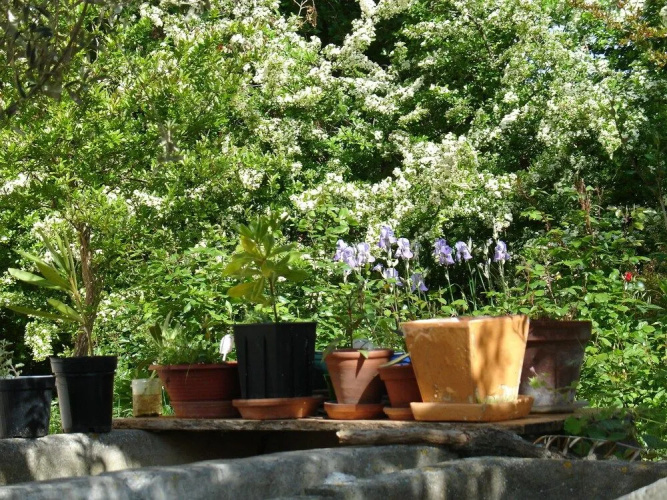 Bed & Breakfast Il Melograno