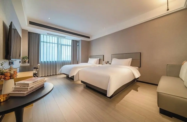 Standard Twin room with city view