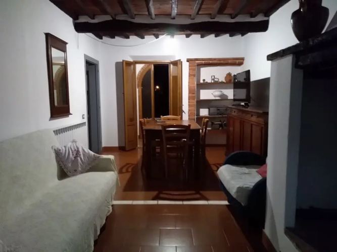 Violino