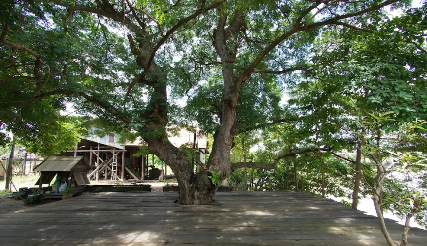 Baan Sikuuk Bed & Breakfast