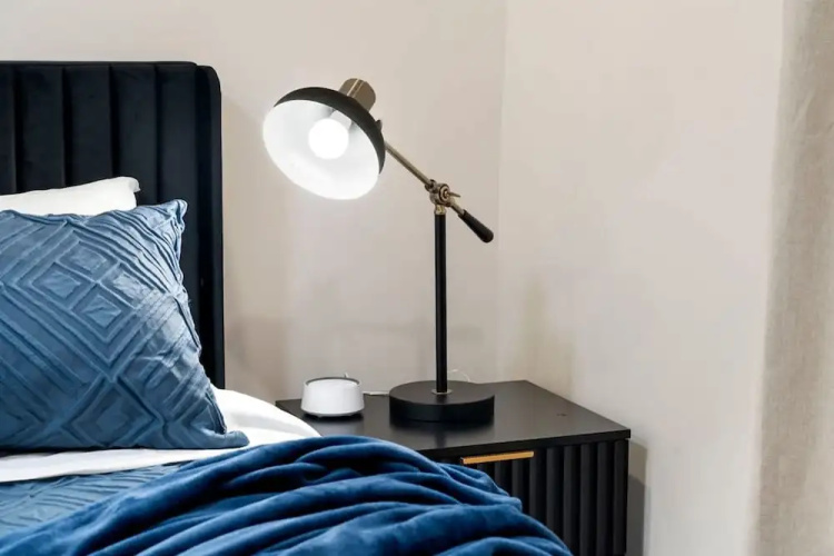 Luxury 2BR 2BA in Wicker Park