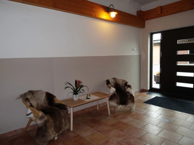Apartment Ahsbahs Suite