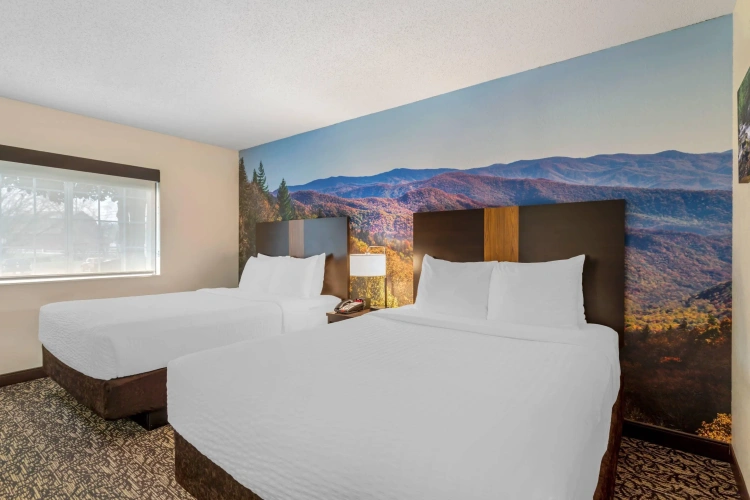 Quadruple Suite