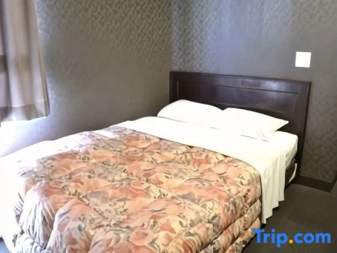 Standard Double room with city view