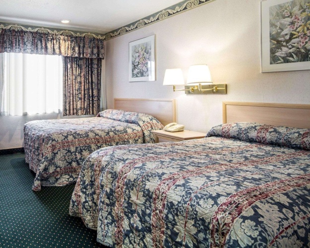 Standard Quadruple room