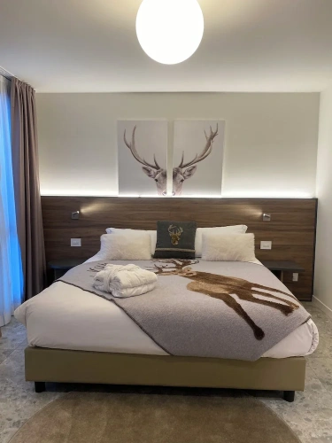 Deluxe Double room with mountain view