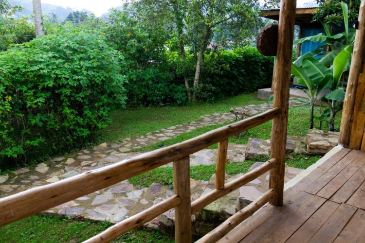 Standard Double room with garden view