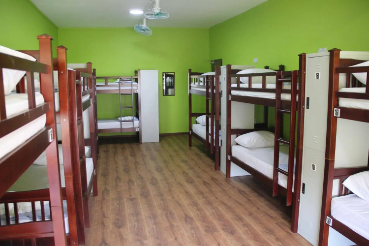 Fat Rhino Hostel