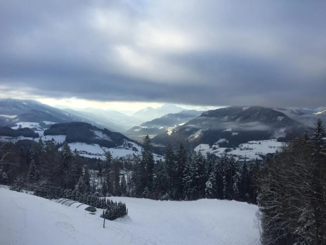 Ellmauhof