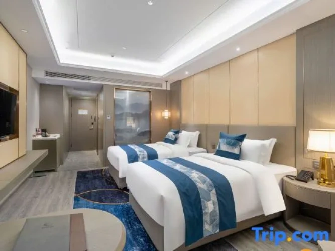 Deluxe Double room with street view