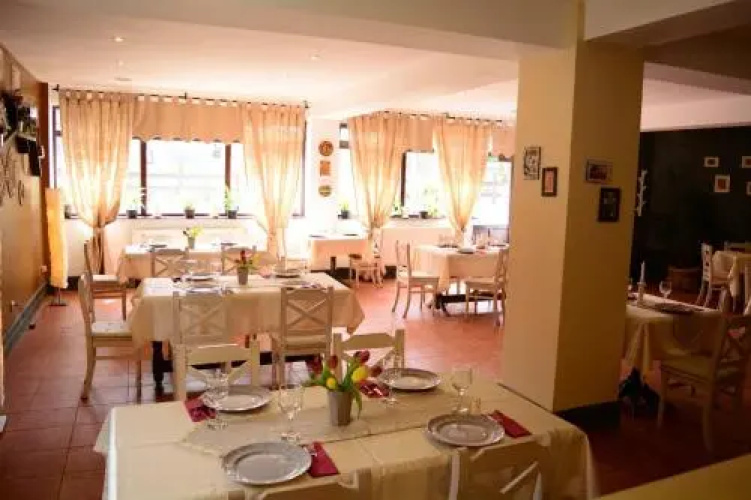 Casa Vlasin