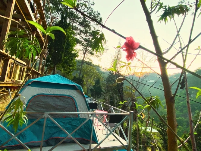 Tent