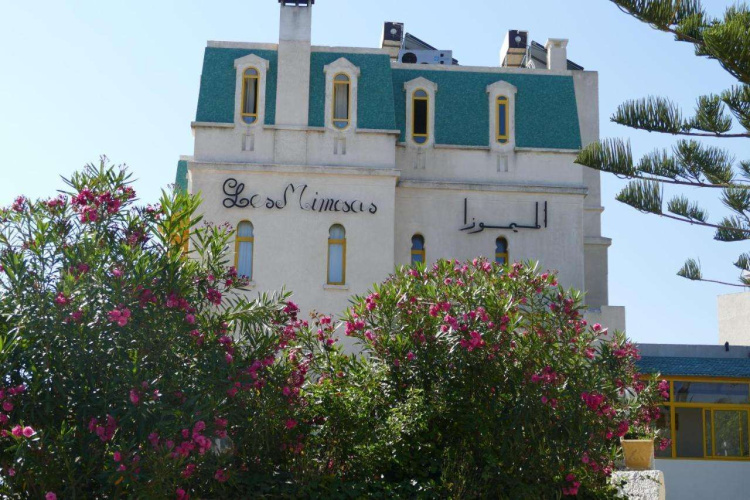 Les Mimosas Tabarka