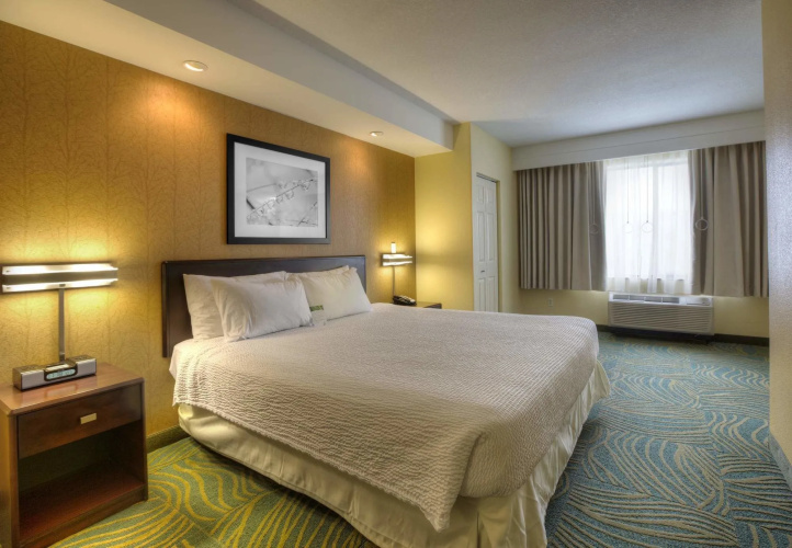 Springhill Suites by Marriott Tampa Brandon