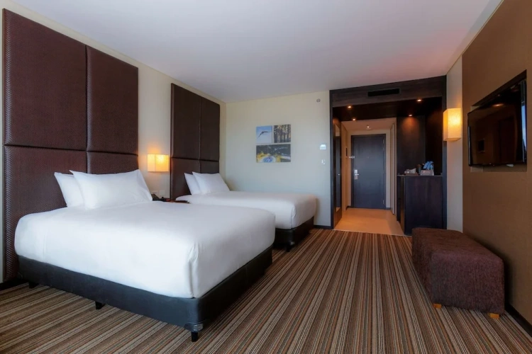 Executive Twin room with city view
