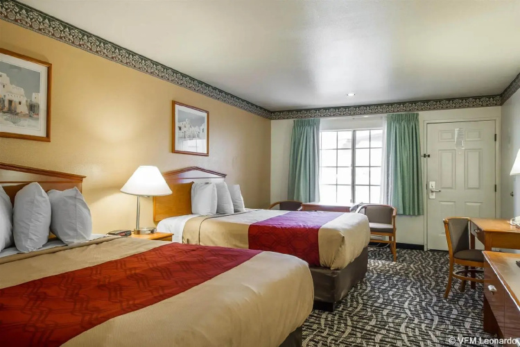 Executive Inn