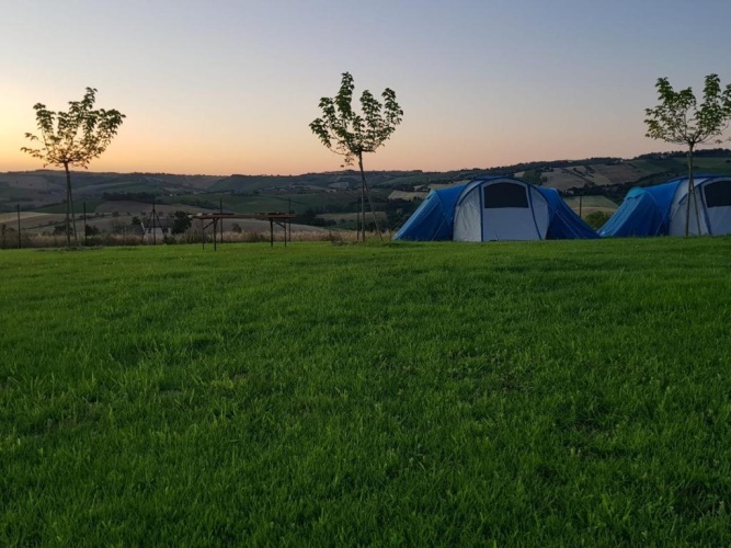 Tent