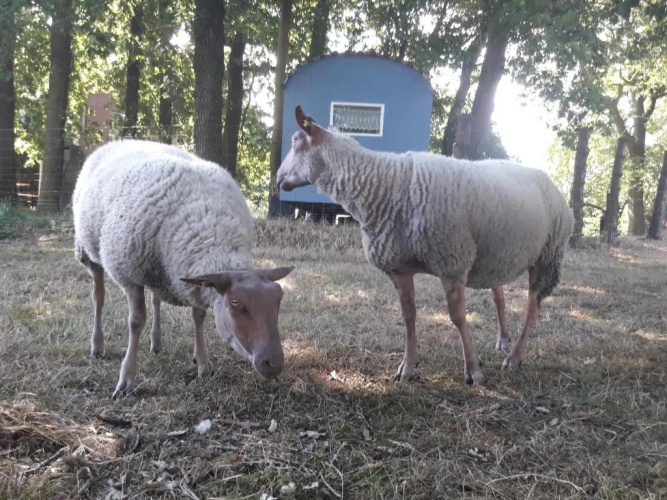 Ferienwohnung 1 Bauernhof von Eden