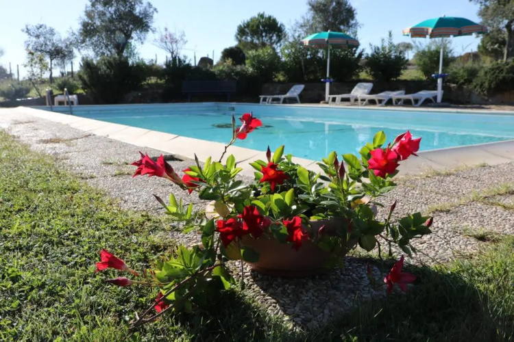 Agriturismo tinti