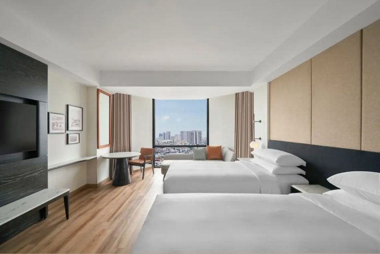 Deluxe Twin room with city view