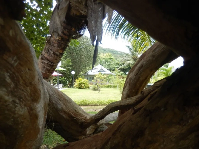 1 Bedroom Luxury Chalet beachfront