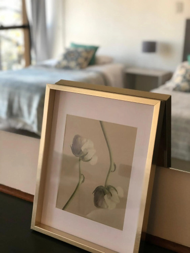 MENDOZA Suites 12