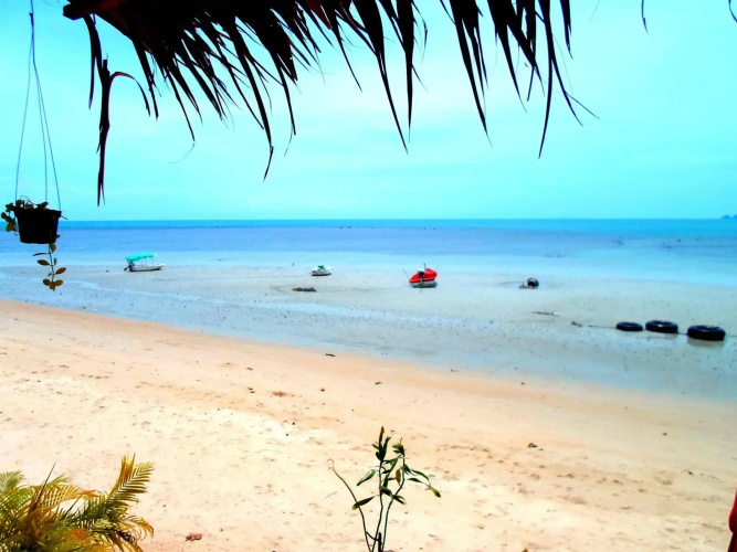 Tropical Footprints