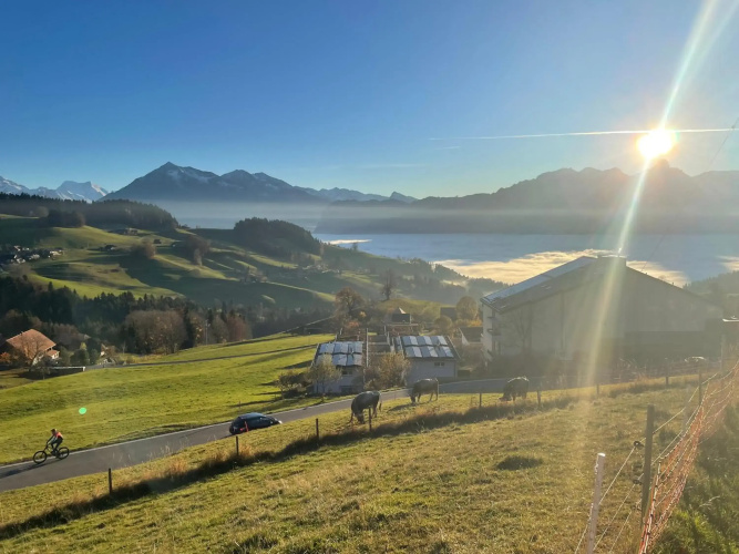 Studio der Alpen