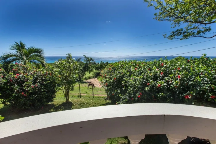 1 Bedroom Deluxe Suite with ocean view