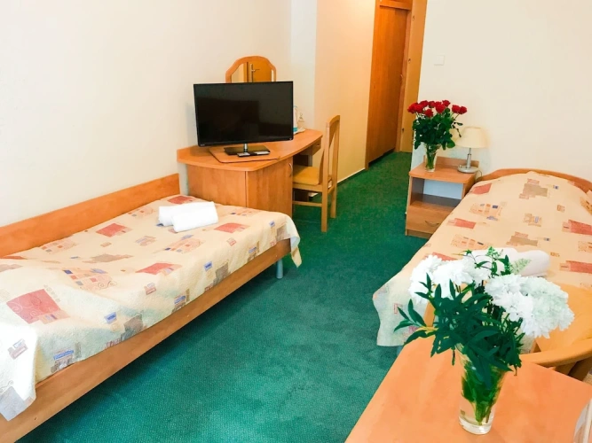 Standard Twin room with balcony