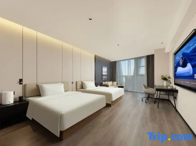 Executive Twin room