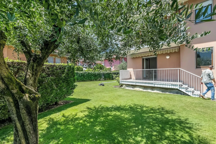The Olive Tree Garden With Mountain View