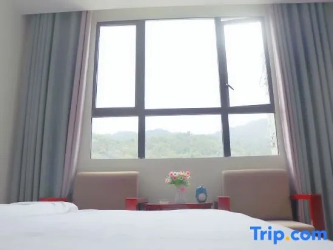 Standard Double room with mountain view