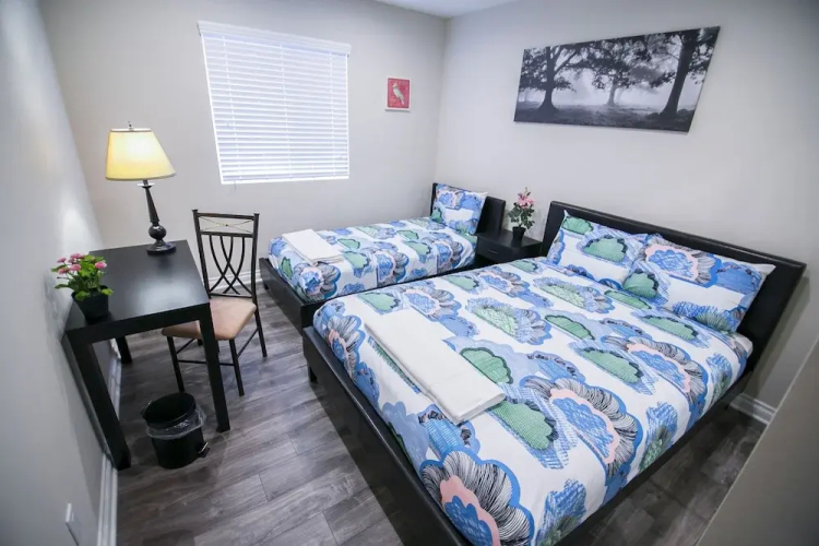 Junior Suite — Single Bed