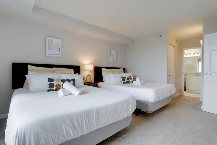 Spacious Apartment at Pentagon City