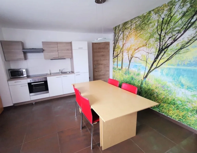 2 Bedrooms Classic Basement Apartment