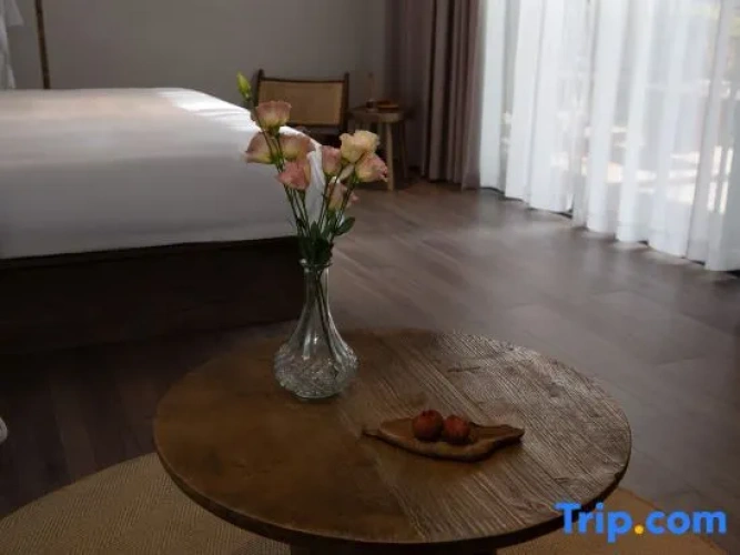 Standard Double room with courtyard view