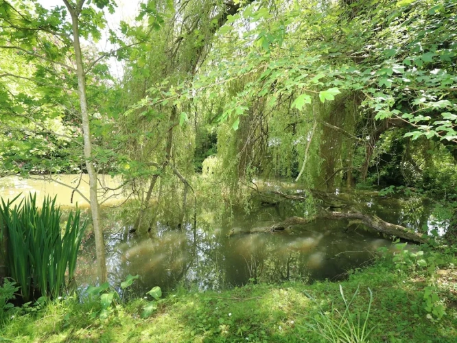 Cottage